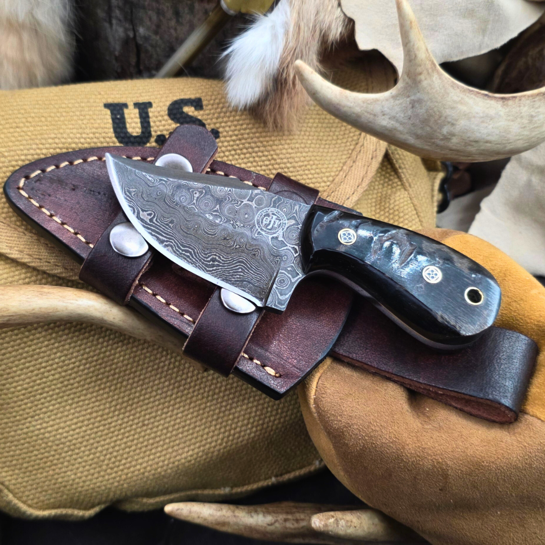 Damascus MINNI EDC Skinner Knife Himalayan Black Sheep Horn Handle